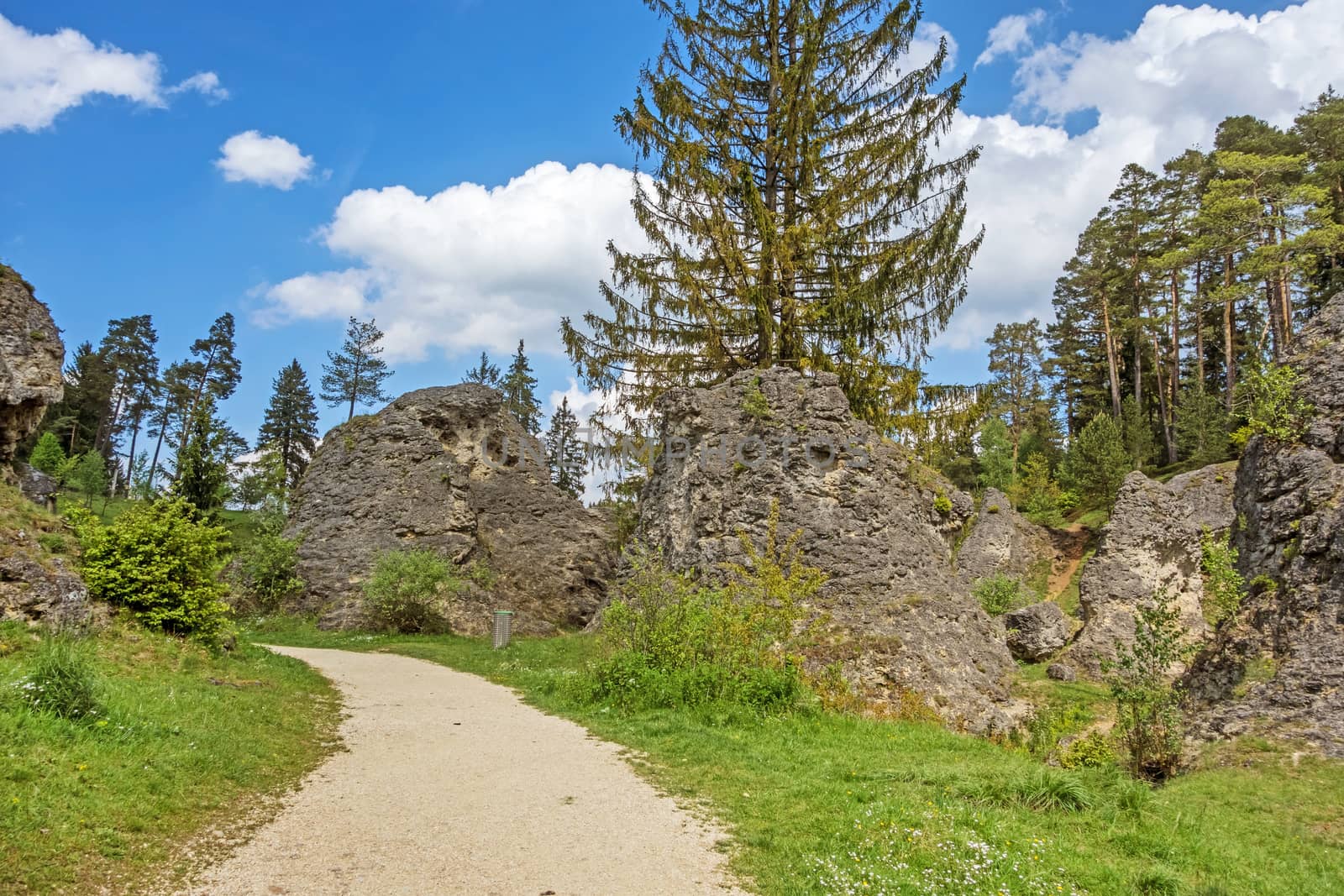 Educational trail through the Wental valley at Swabian Alps near Steinheim and Bartholomae