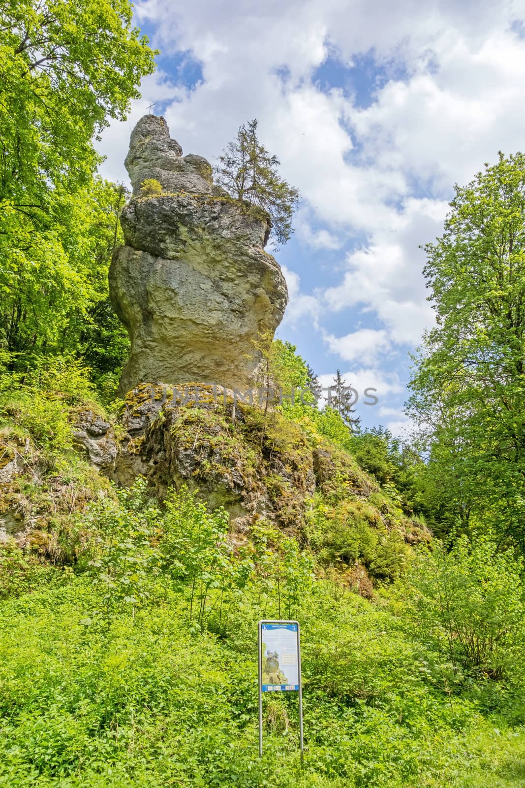 Steinheim, Wental, Germany - May 26, 2016: Impressive rock "Wentalweible" along the educational trail "Wentallehrpfad" at Swabian Alps