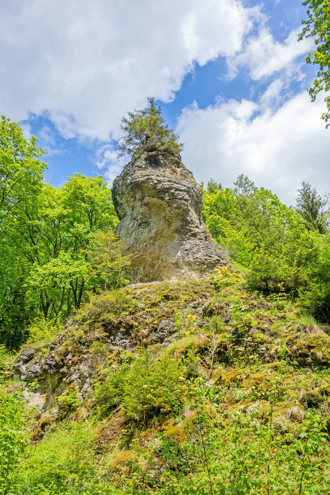 Impressive rock "Wentalweible" along the educational trail "Wentallehrpfad" at Swabian Alps