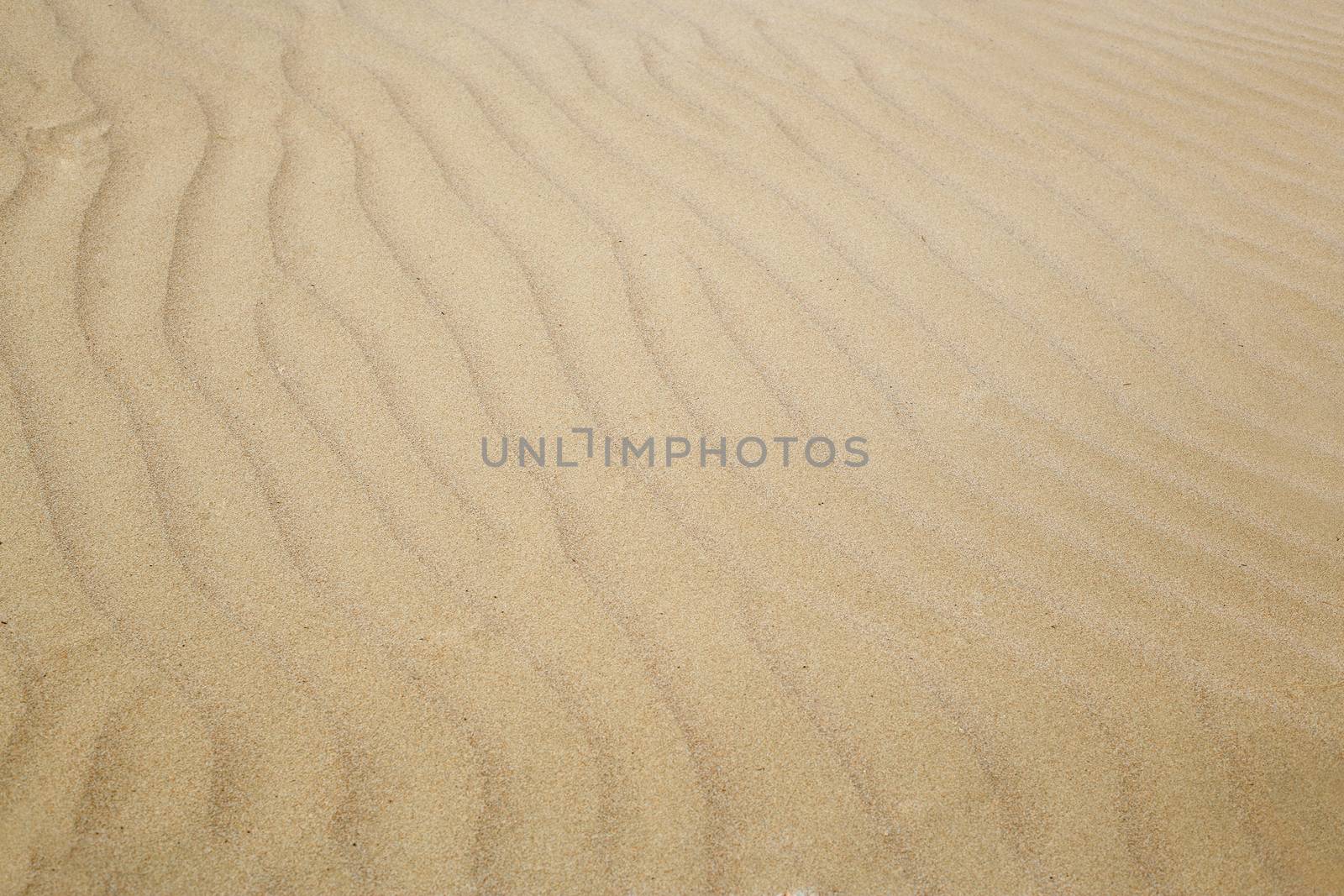 Close-up photo of the sand dunes in arid area