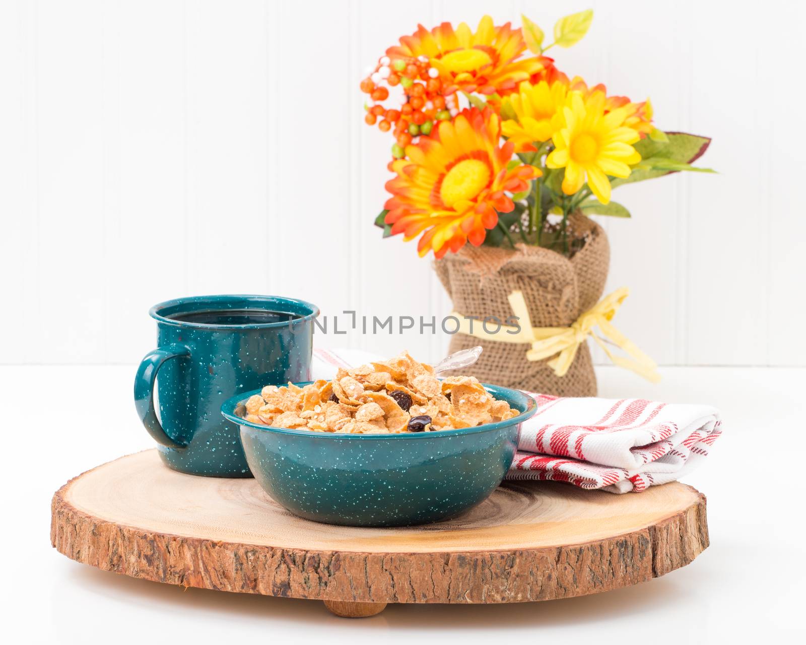 Bowl of Breakfast Cereal by billberryphotography
