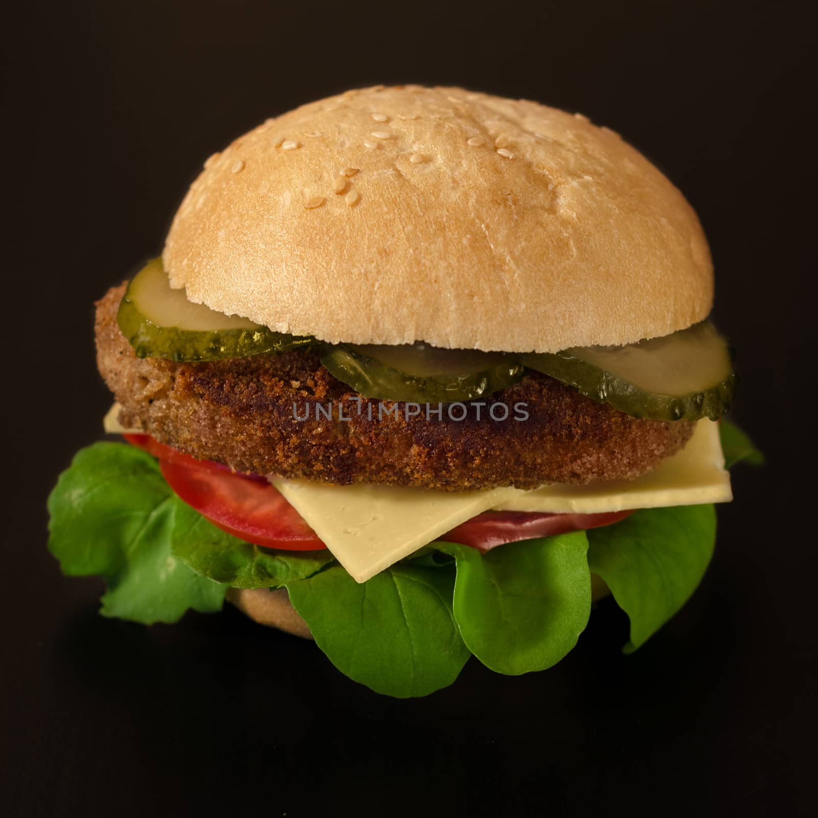 Sandwich with meat Patty on a black background by Gaina