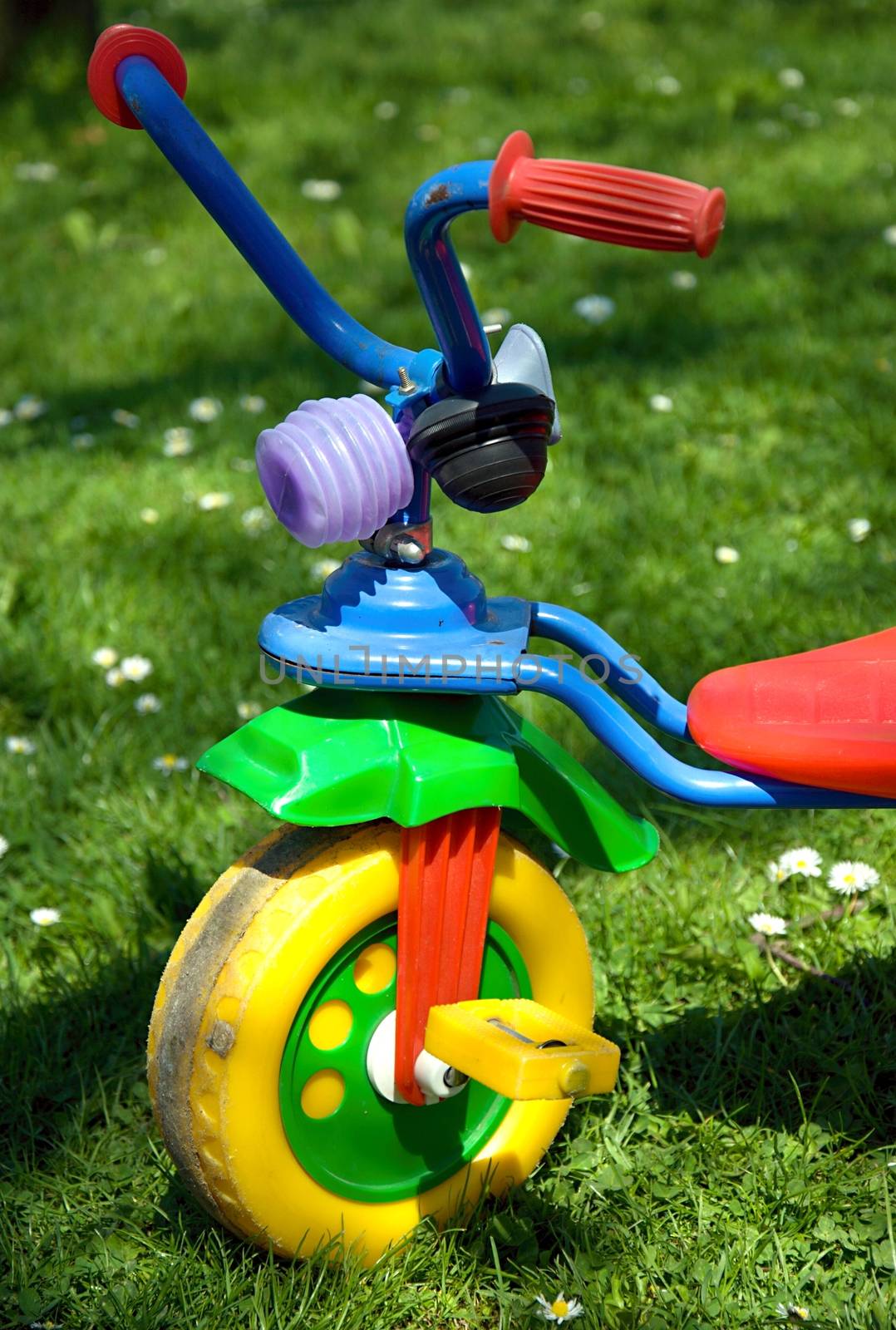Tricycle in the garden.