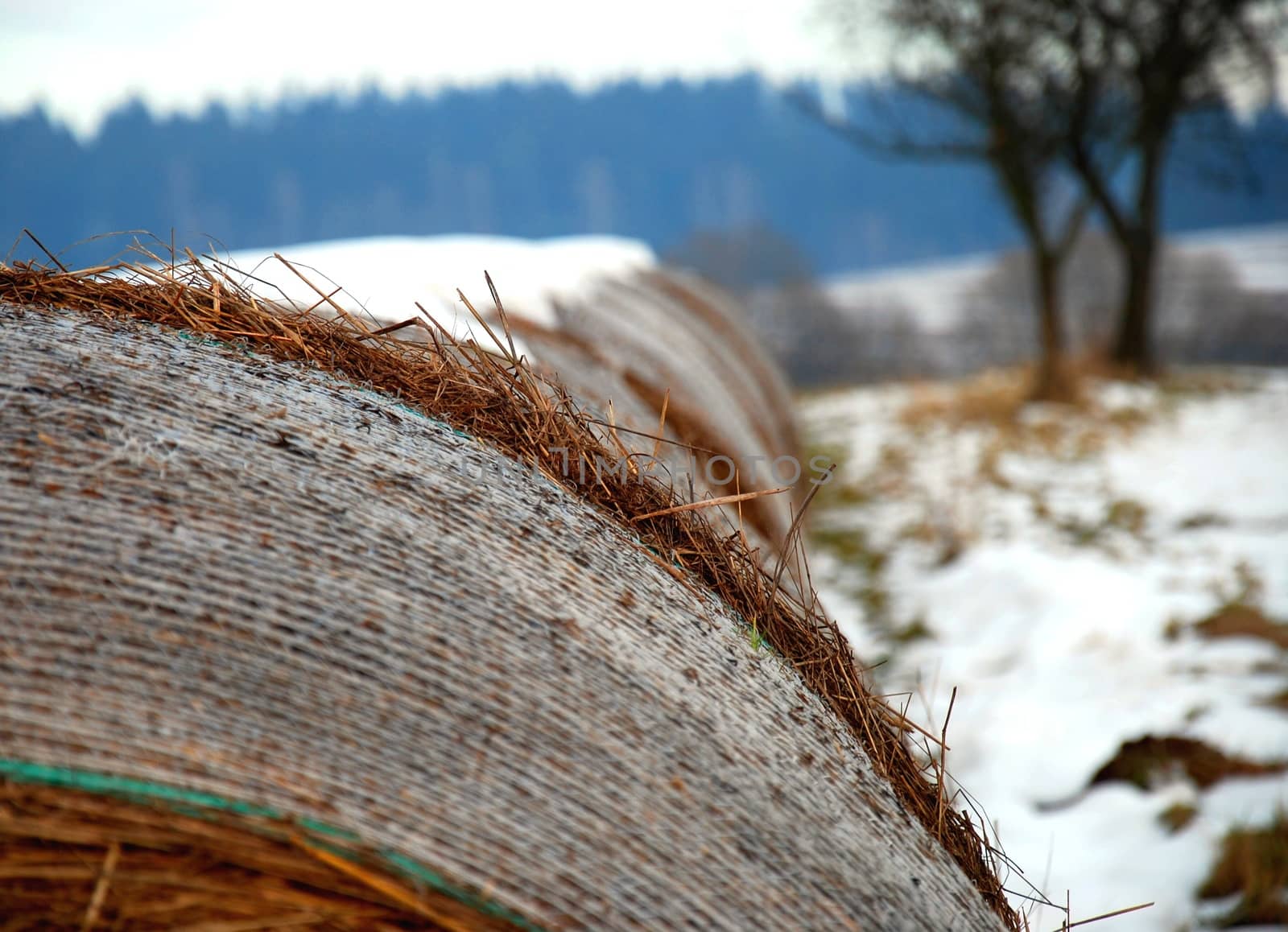 Bundle of straw. 
