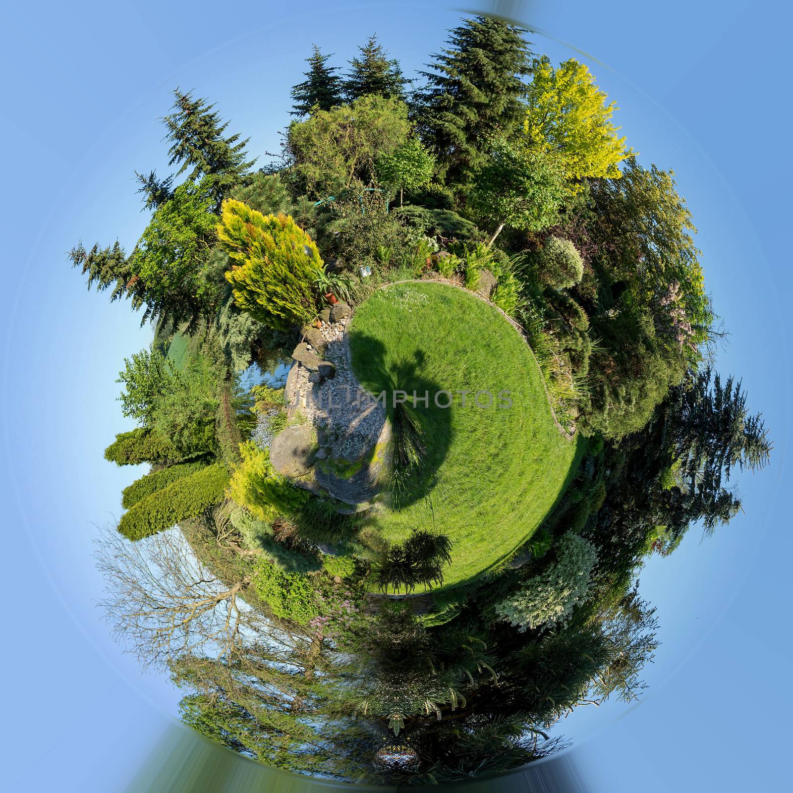 mini planet of Beautiful spring garden design, with conifer trees, green grass. Beautiful Little planet with spring garden, ecology concept. Tiny green planet with trees