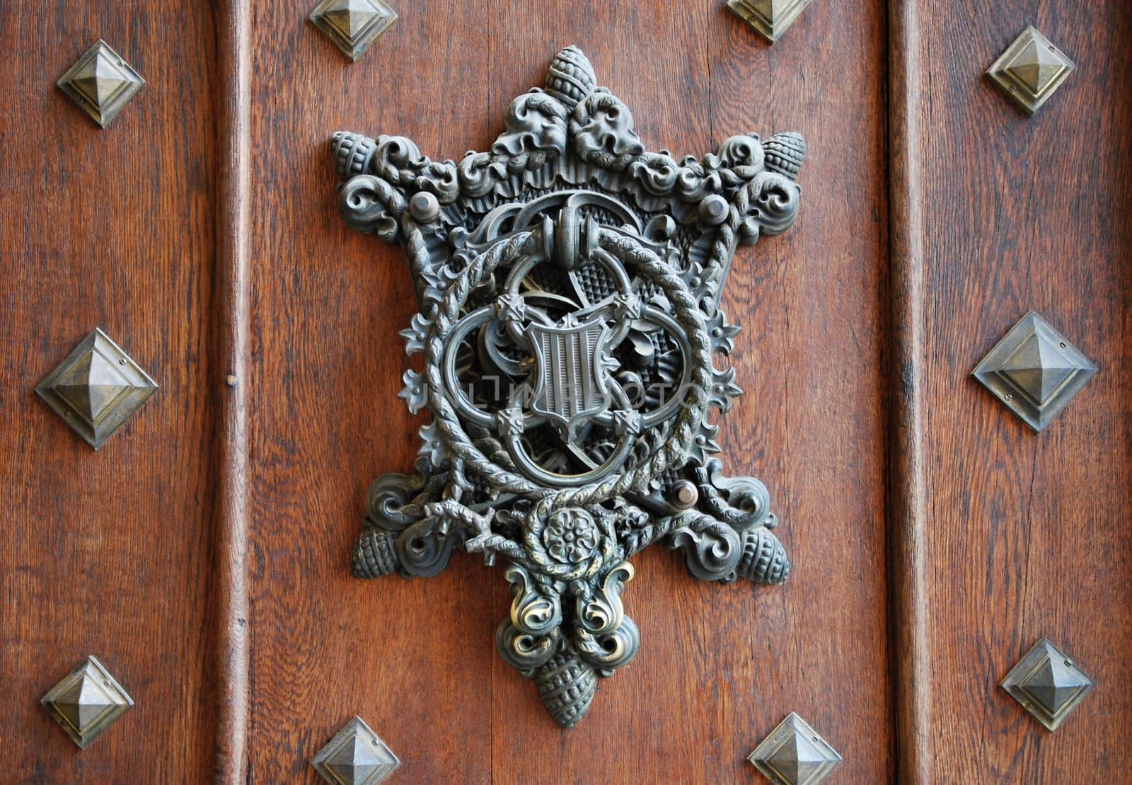 Medieval door in old castle named Hluboka nad Vlatavou - Czech Republic.