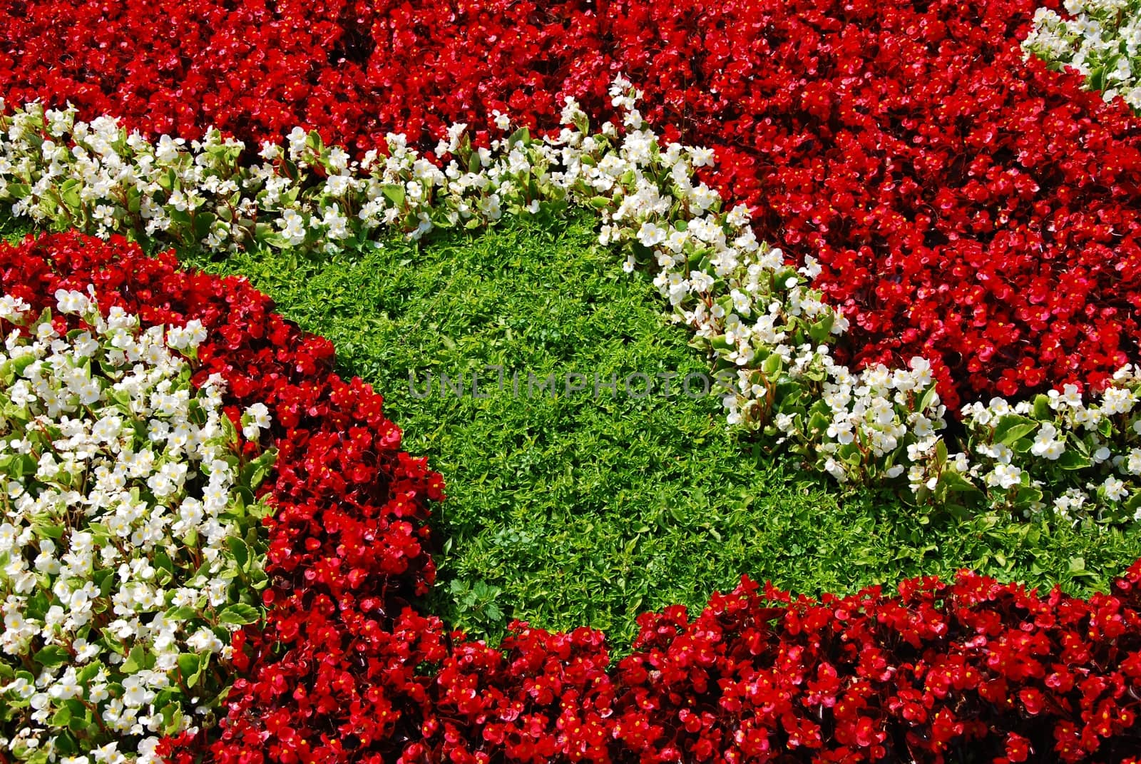 White and red flowers in castle garden.