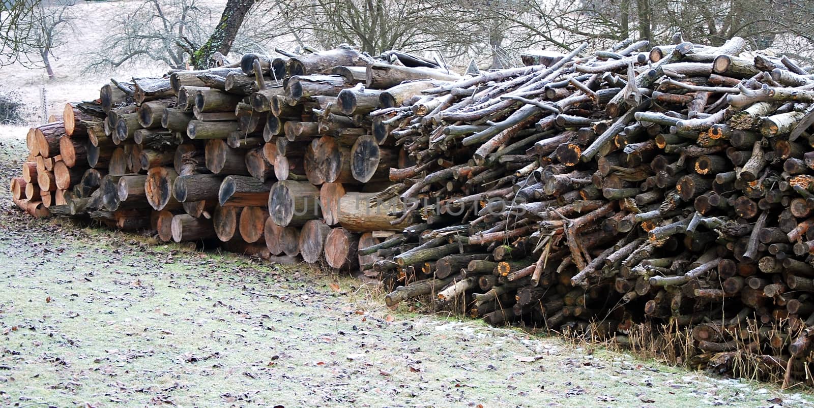 Stack of wood by hamik