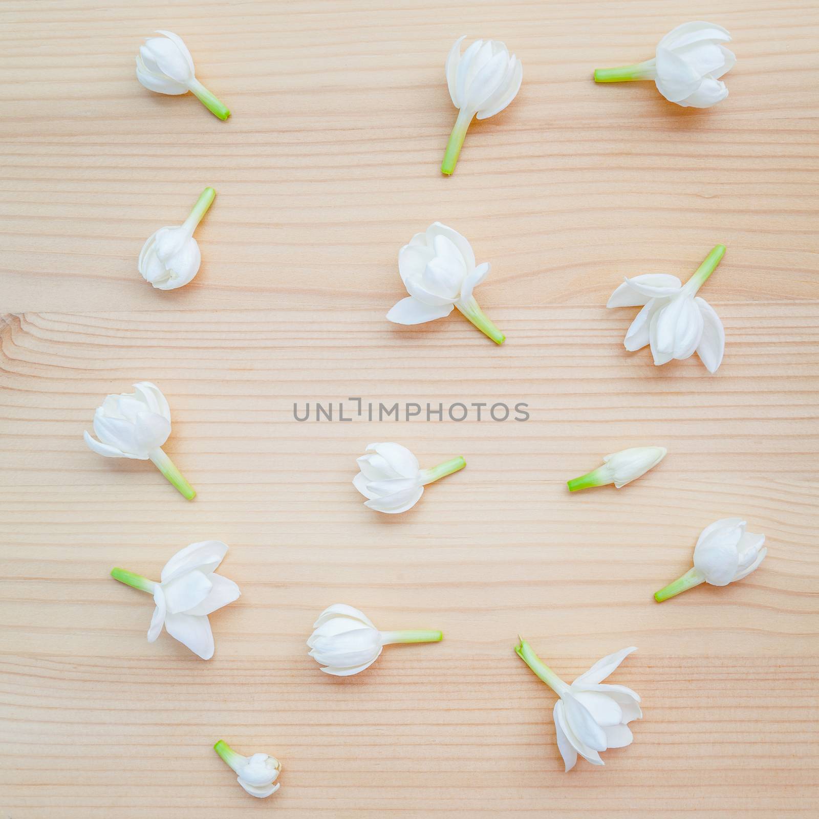 White jasmine flowers on wooden background. The delicate rain season flowers.