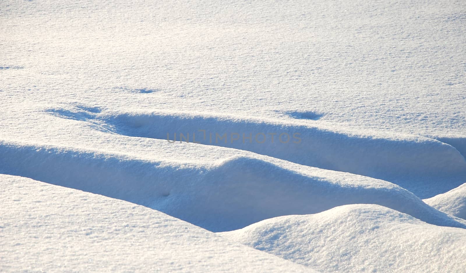 Detail of snow by hamik