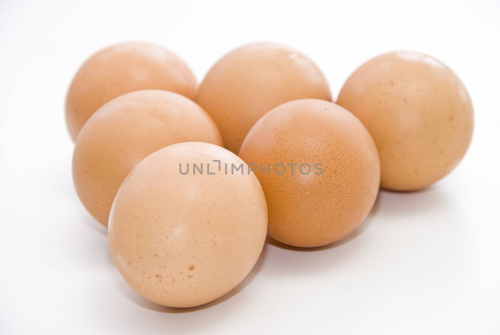 Six eggs on the white background.