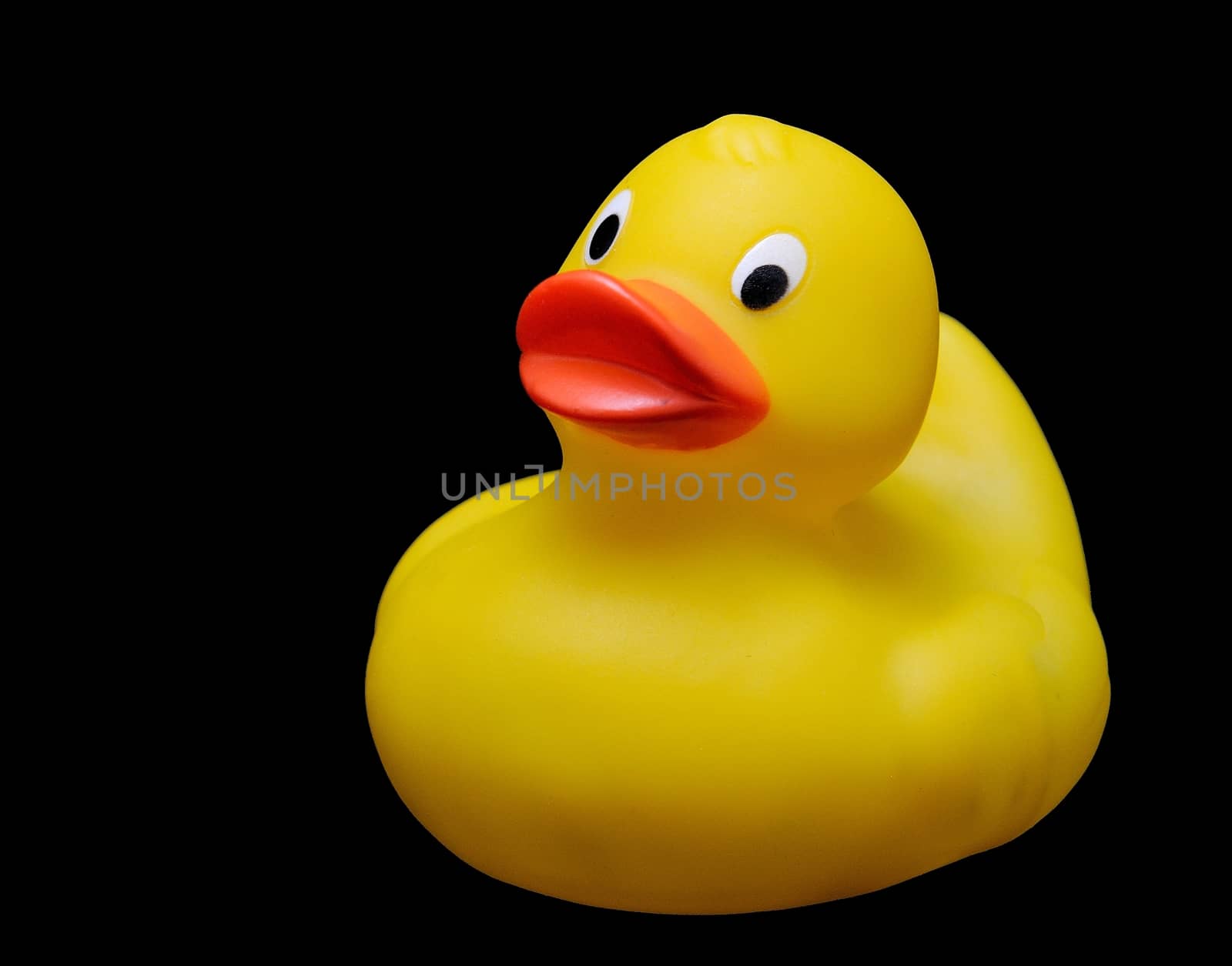 Plastic duck	 by hamik