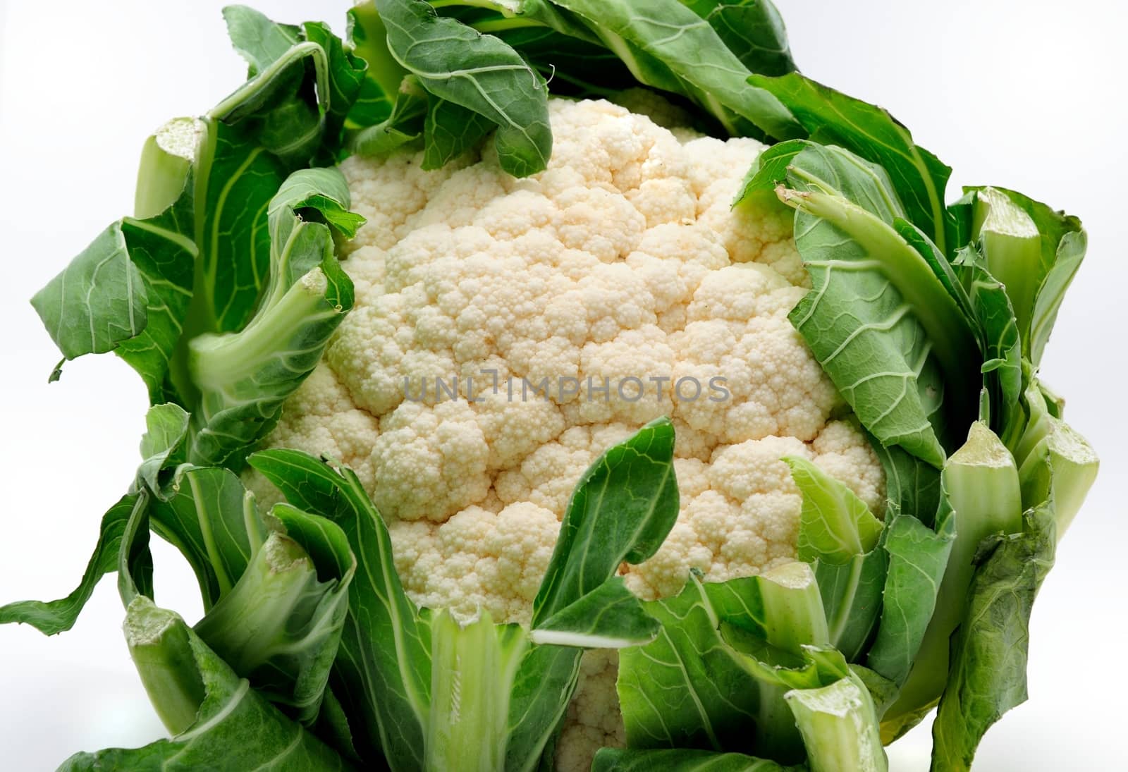 Fresh cauliflower. by hamik