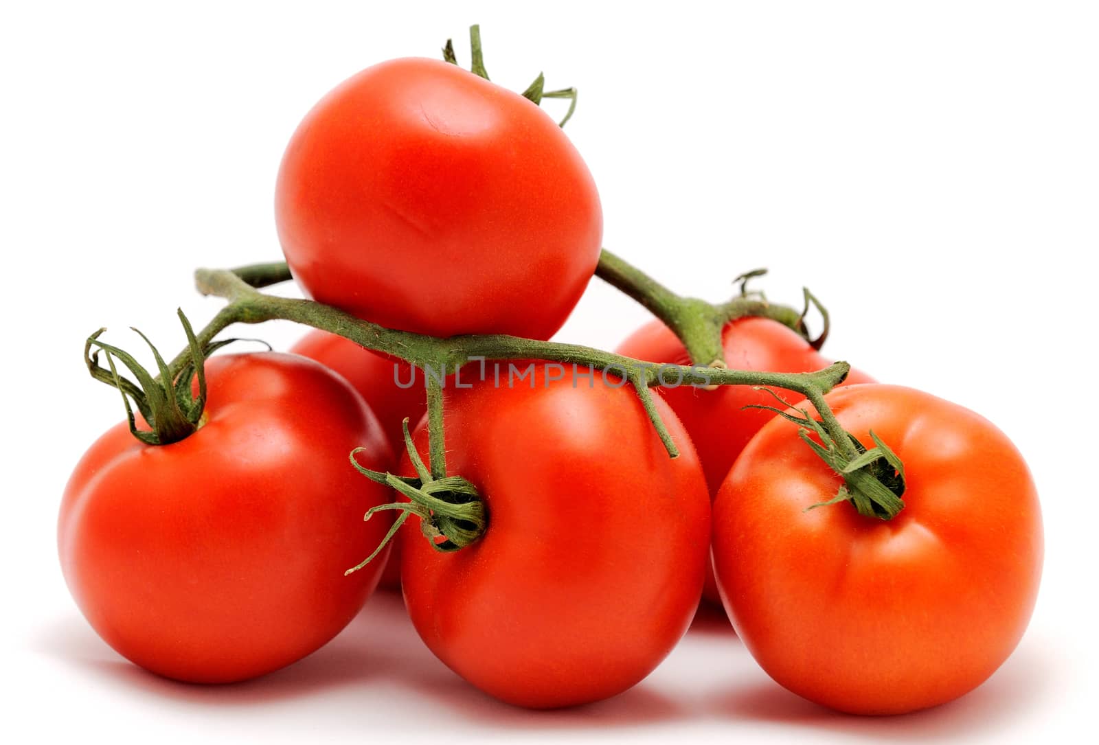 Bunch of fresh red tomatoes, placed on the white background.