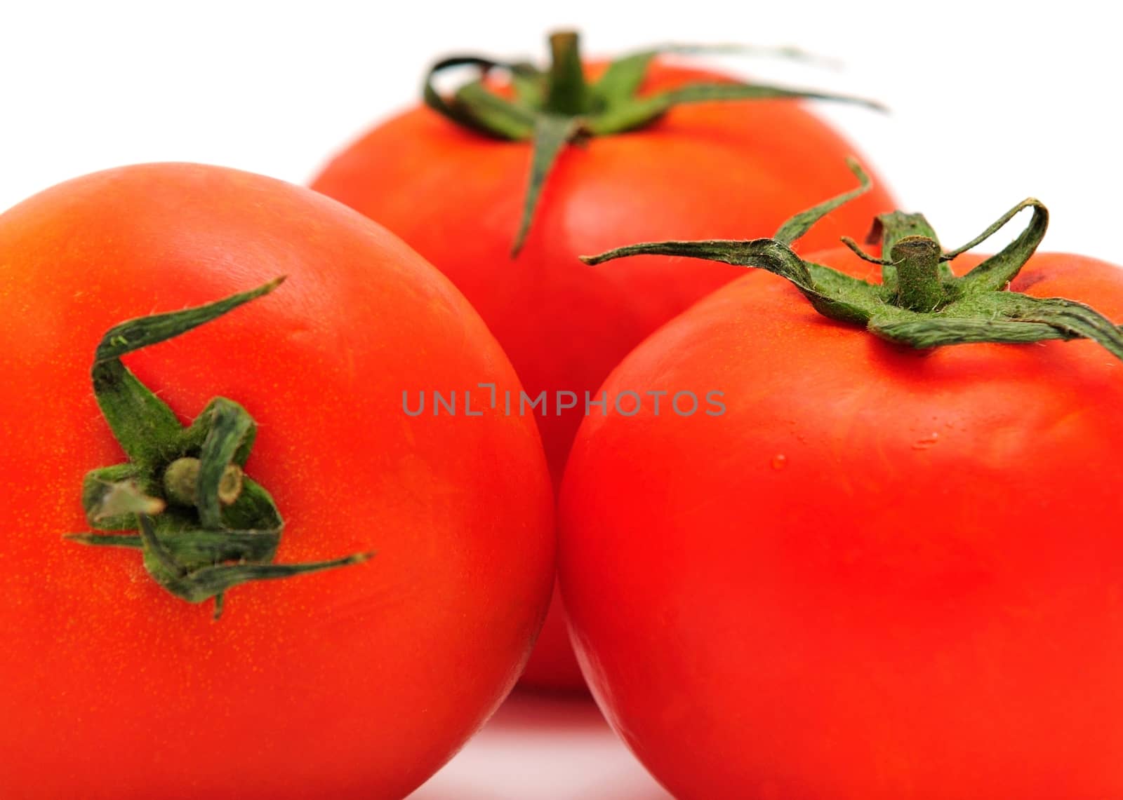 Fresh tomatoes placed on the white background.