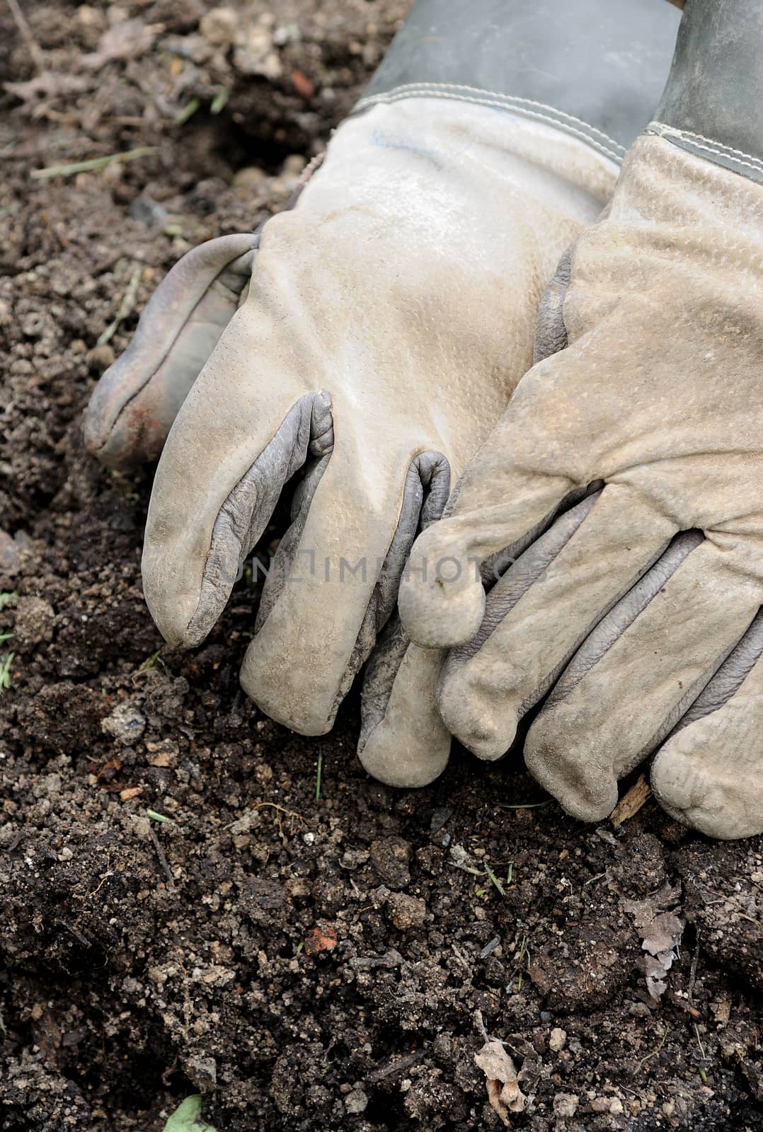 Working leather gloves placed on the earth.