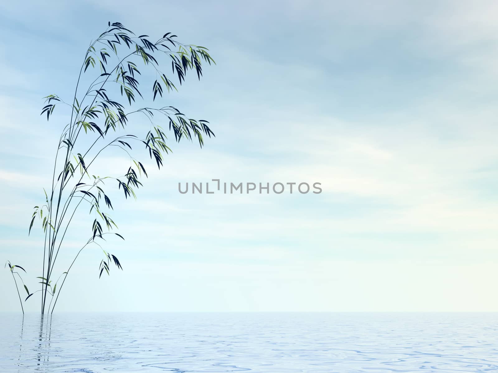 Bamboo and water by day - 3D render