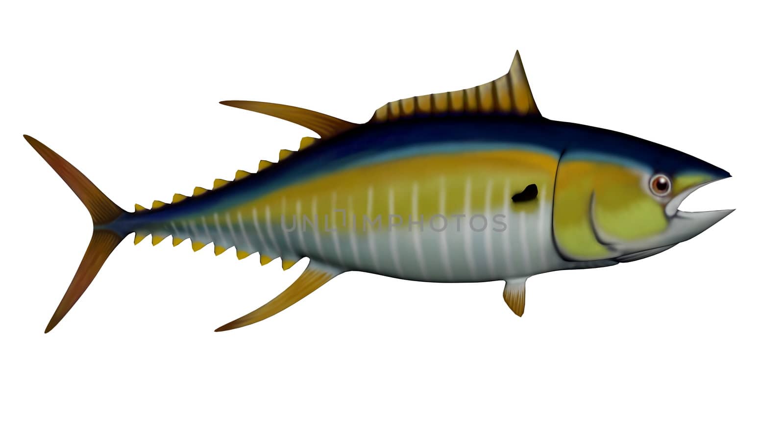 Tuna isolated in white background - 3D render
