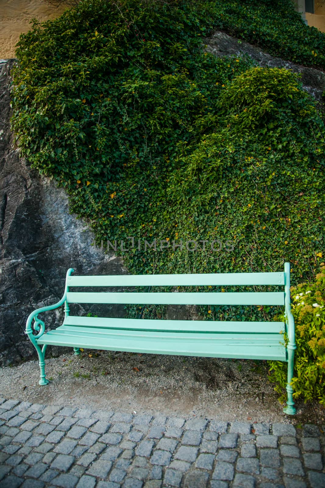beautiful bench in the park.
