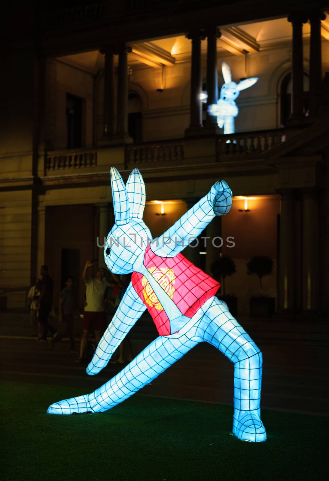 SYDNEY, AUSTRALIA - 7 FEBRUARY, 2016;  The rabbits on the lawn outside Customs House Sydney, practice tai chi or yoga.  The rabbit in the zodiac is associated with tame, tenderness. People in Rabbit sign are not aggressive but approachable. They have a decent, noble and elegant manner.
