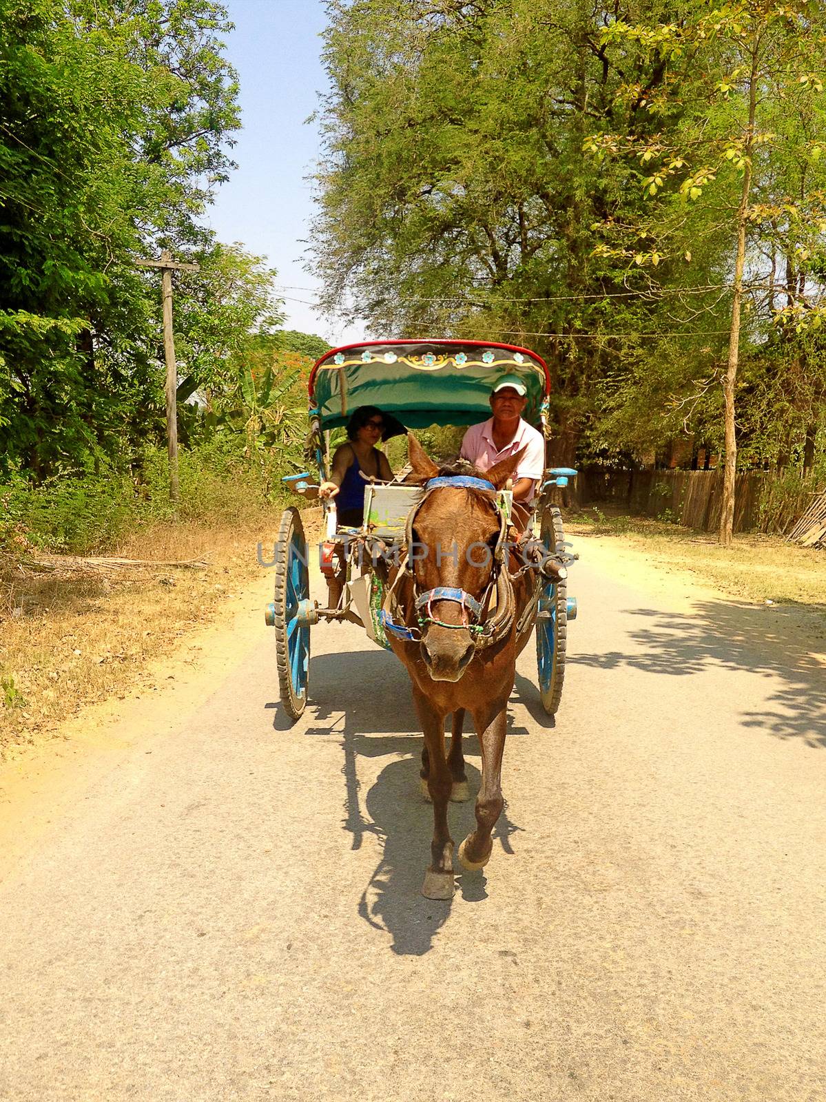 Myanmar - April 21, 2013 : Tourists ride on a horse carriage for sightseeing around to village in Inwa ancient city,Mandalay State in Middle of Myanmar.