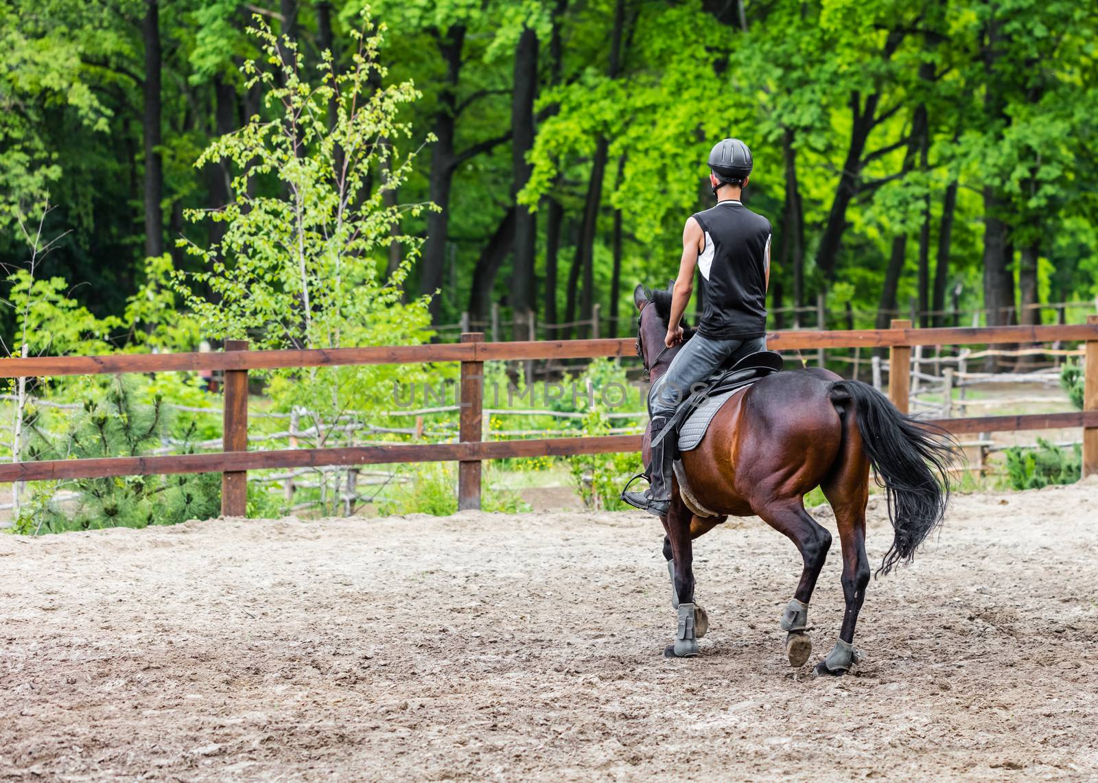 male athlete rides on horse, exercise outdoors