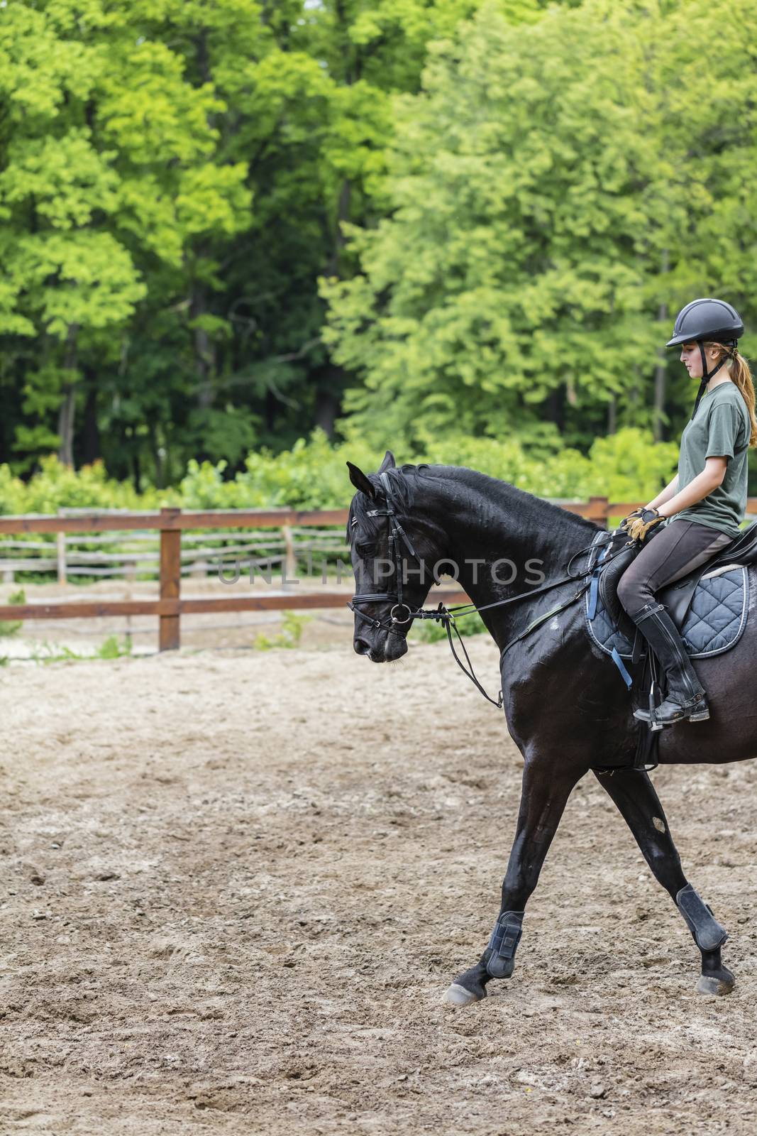 girl sportsman rides on horse training outdoors