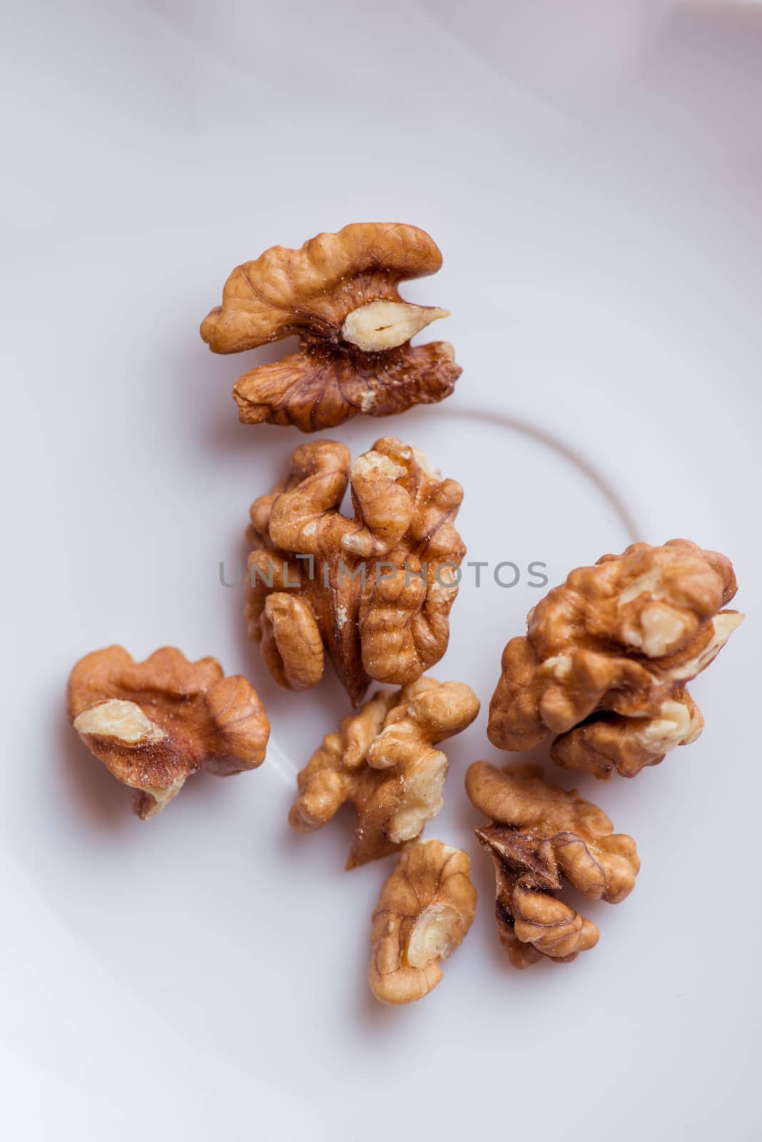 Close-up walnut on a white background. Macro shot. by skrotov