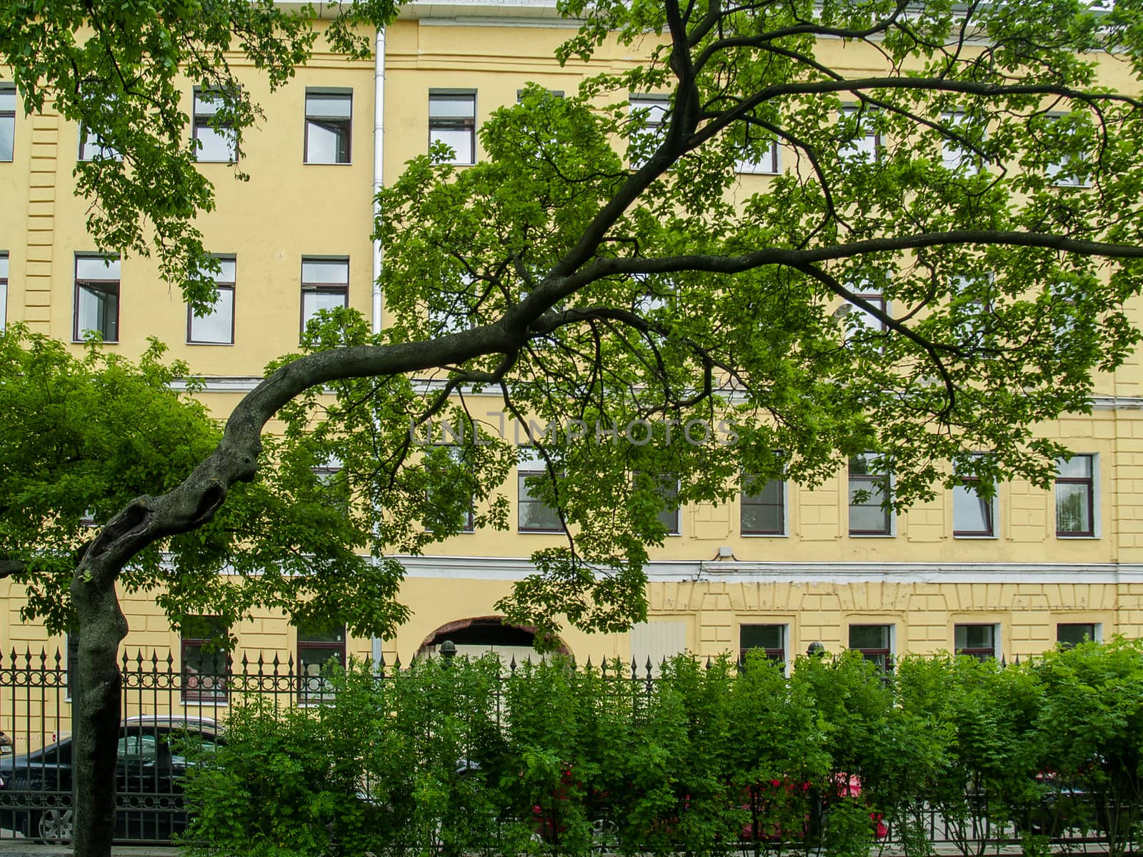Polish Spring Park in May