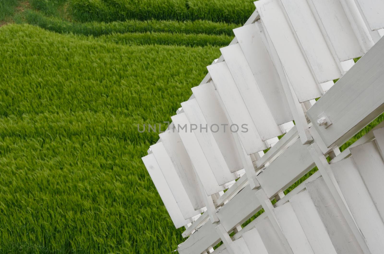 Detail of sail of window with field in background by pauws99