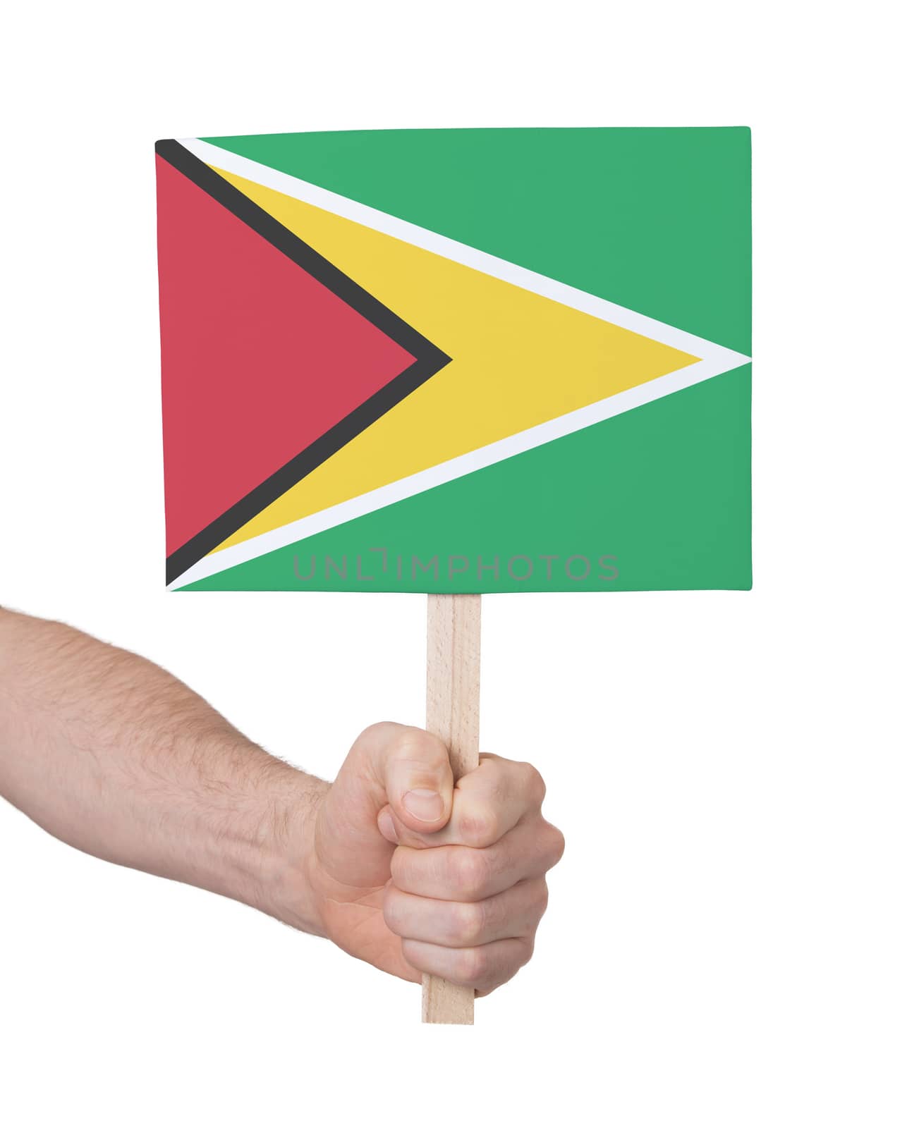 Hand holding small card - Flag of Guyana by michaklootwijk