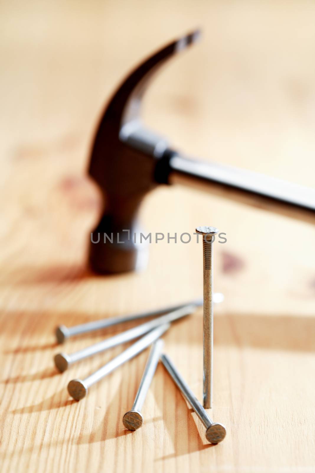 Nails set near hammer on nice wooden background