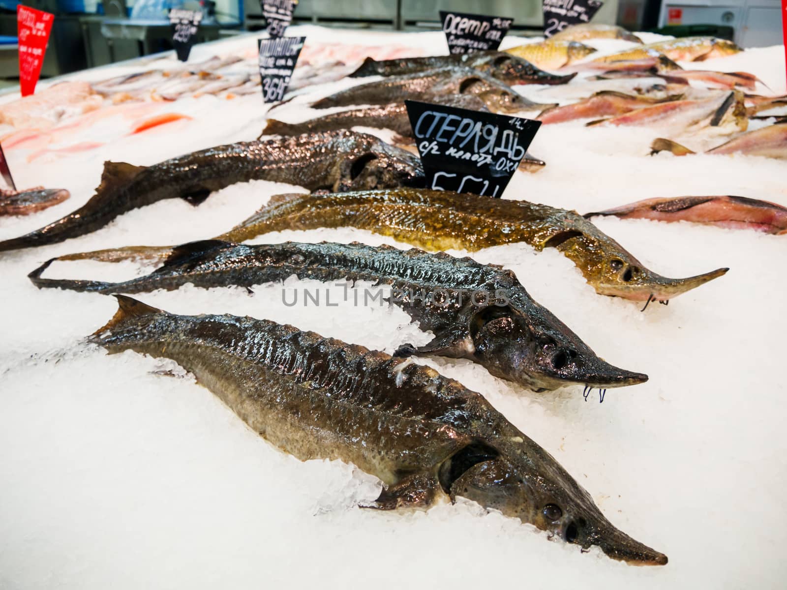Fresh Fish on ice for sale at market