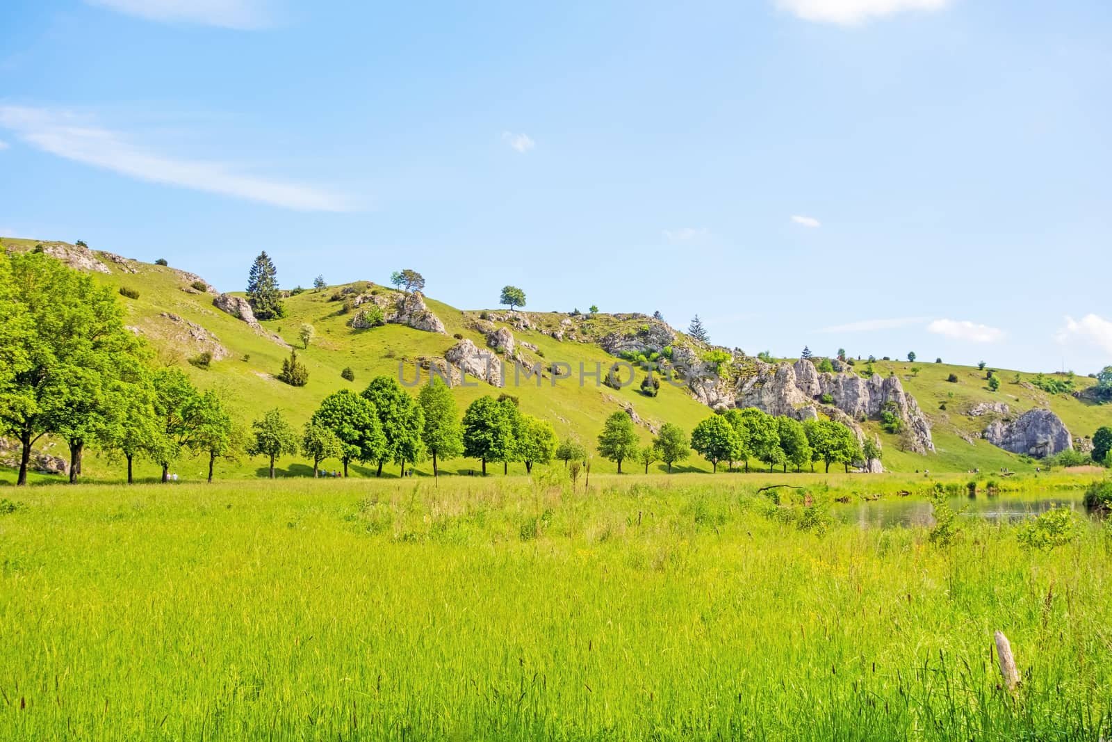 Valley Eselsburger Tal near river Brenz - jewel of the swabian alps (Schwaebische Alb), green meadow / grassland in front