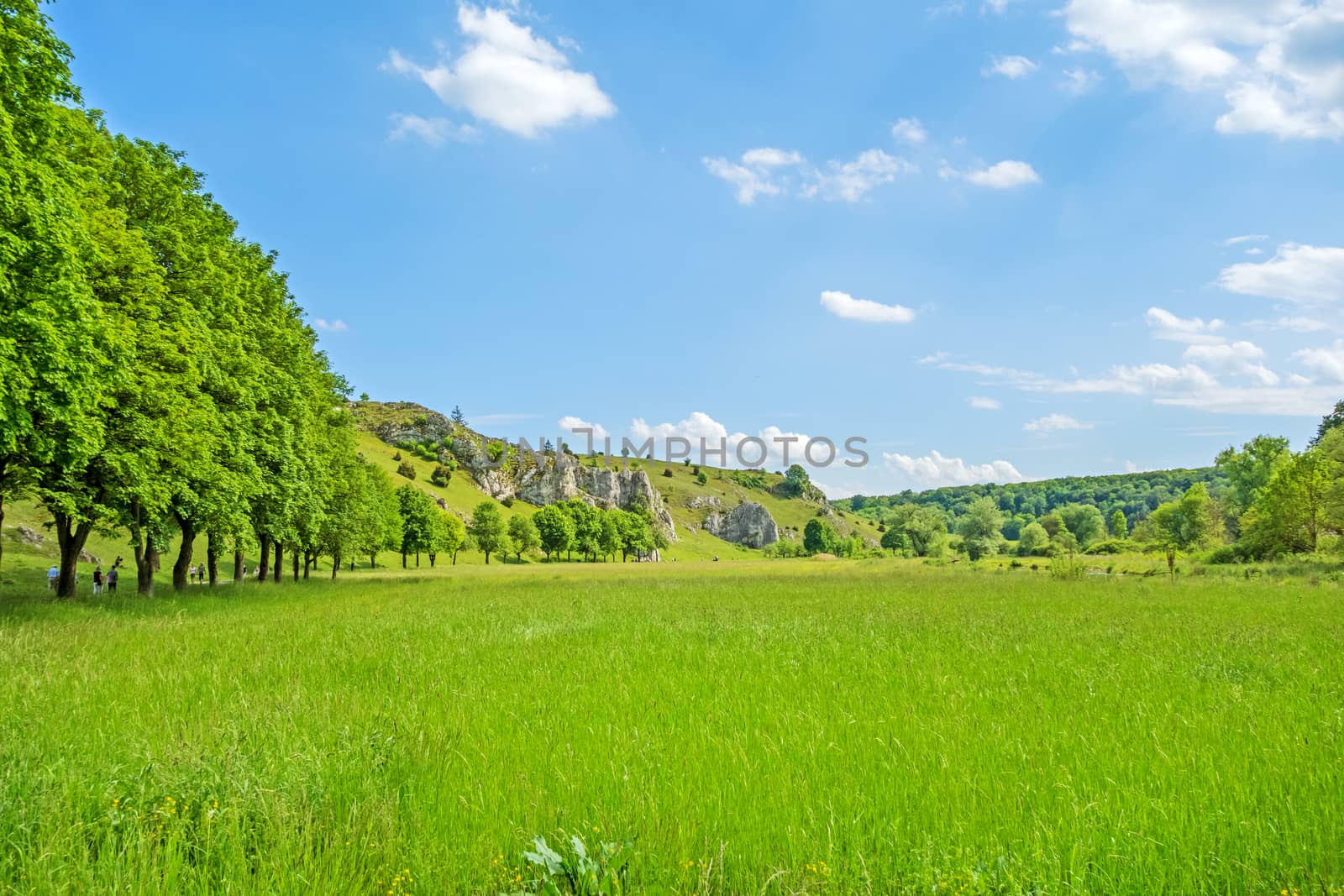 Valley Eselsburger Tal near river Brenz - jewel of the swabian alps (Schwaebische Alb), green meadow / grassland in front