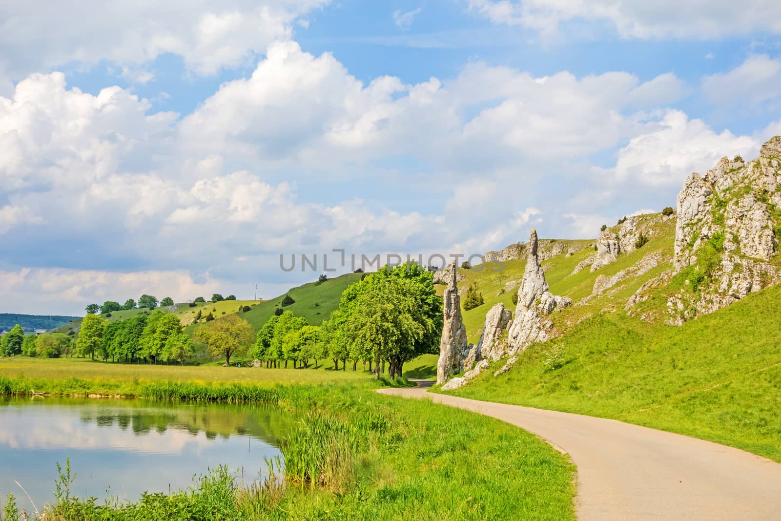 Rock formation "Steinerne Jungfrauen" in valley Eselsburger Tal near river Brenz - jewel of the swabian alps, meadow in front