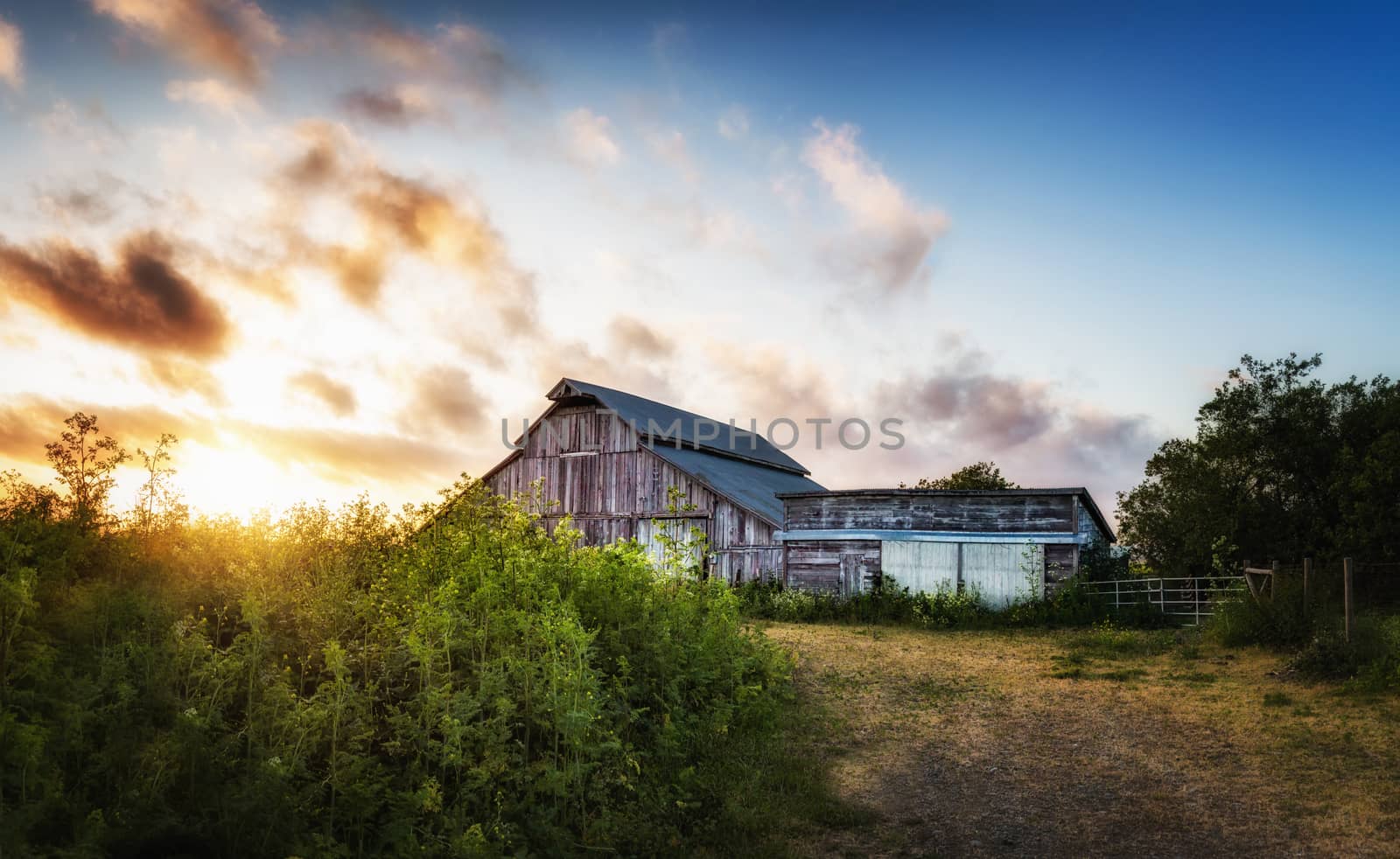 Old Barn at Sunset, Panoramic Color Image by backyard_photography