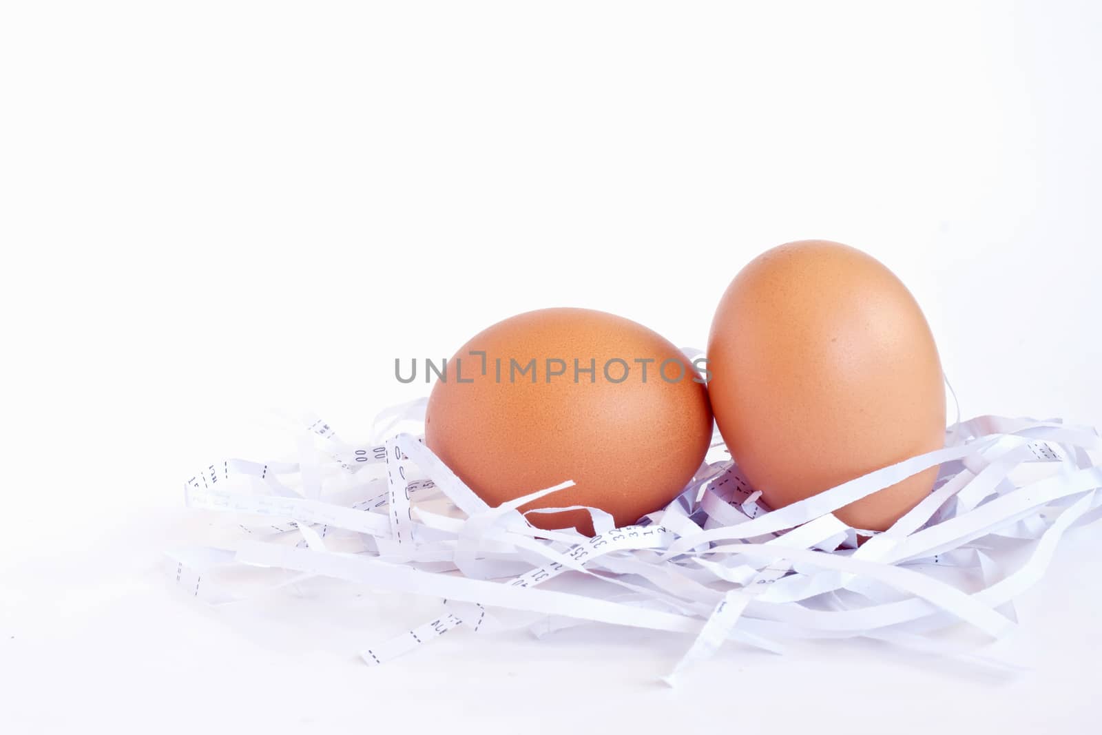 eggs in a white nest on background white  by ekachailo
