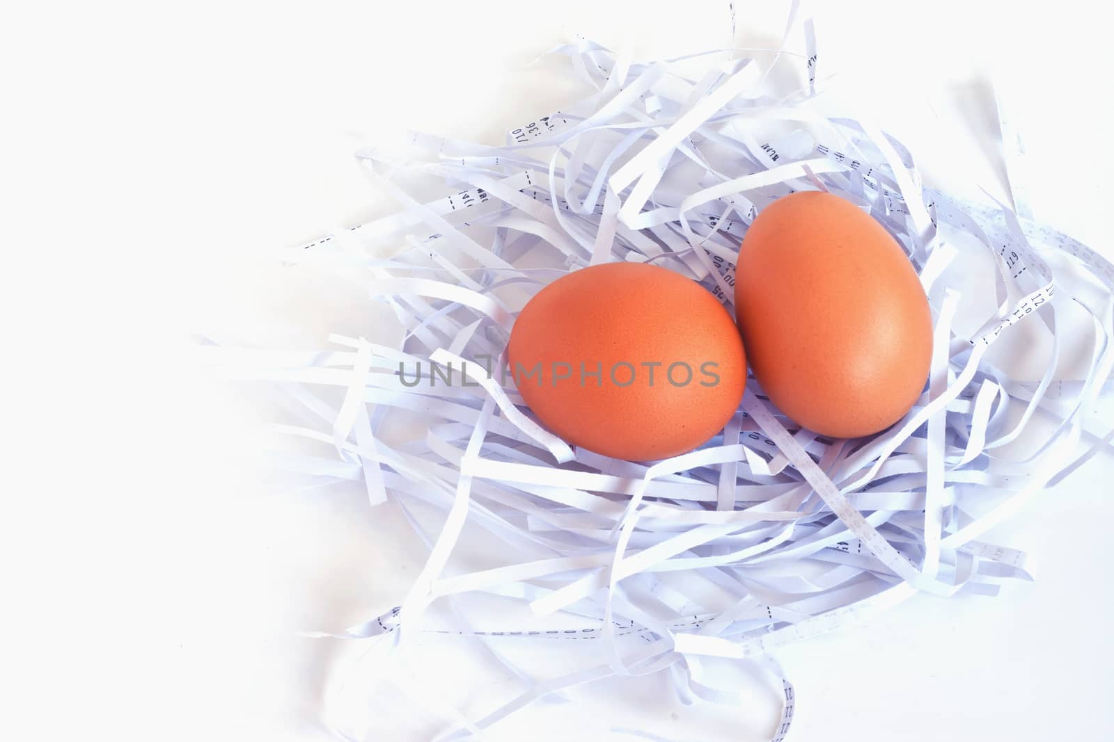 eggs in a white nest 