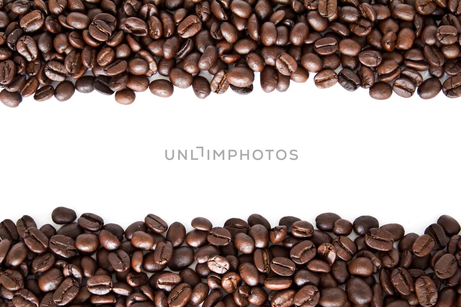 coffee beans stripes isolated in white background