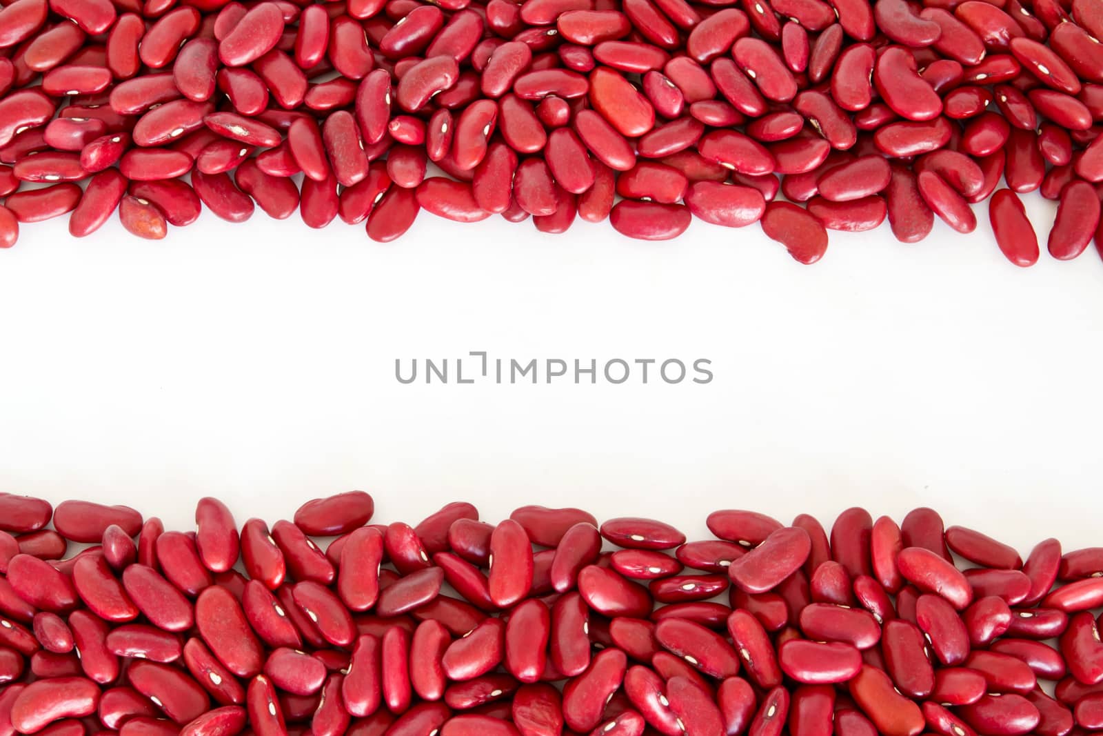 Rad beans stripes isolated in white background