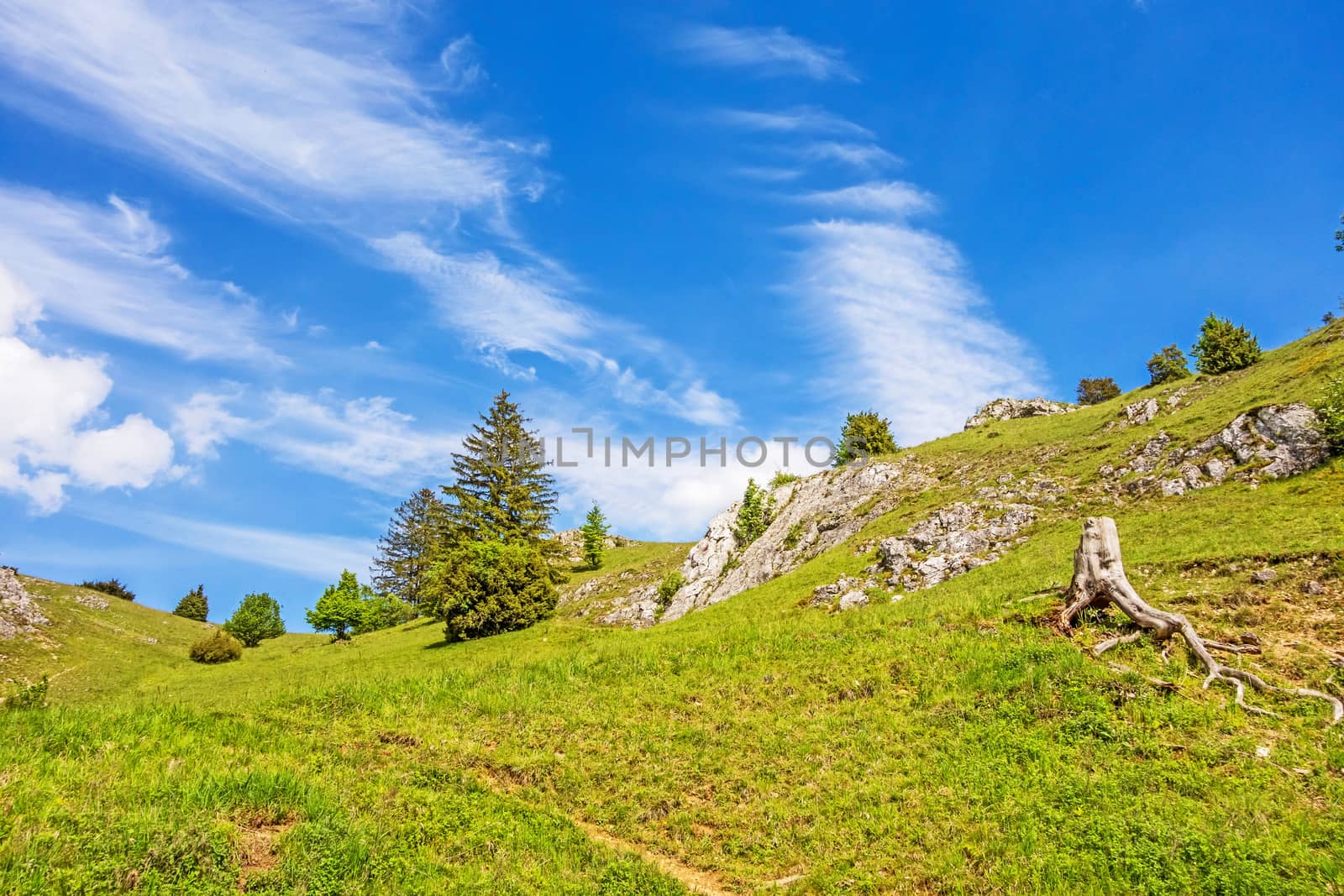 Mountains of the valley Eselsburger Tal near river Brenz - jewel of the Swabian Alps (Schwaebische Alb)