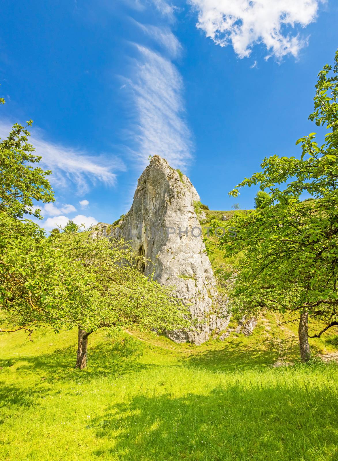 Rock / Mountain at valley Eselsburger Tal near river Brenz - jewel of the swabian alps, meadow in front