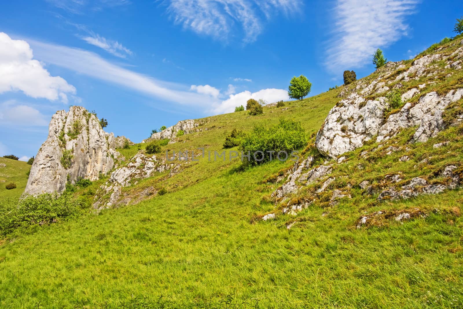 Rocks at valley Eselsburger Tal near river Brenz - jewel of the swabian alps, meadow in front