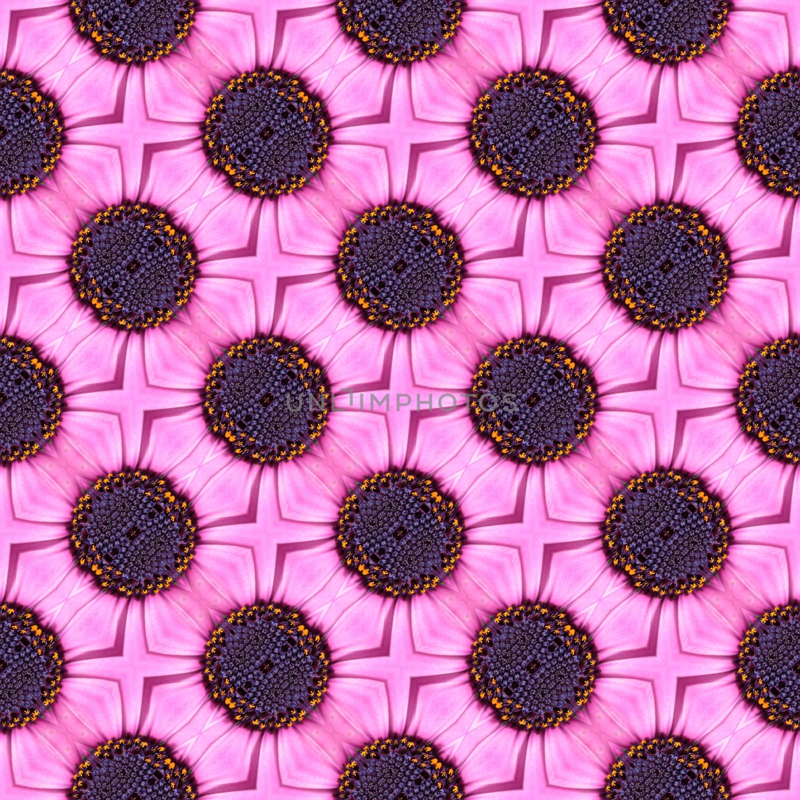 Abstract floral seamless pattern with purple flowers.