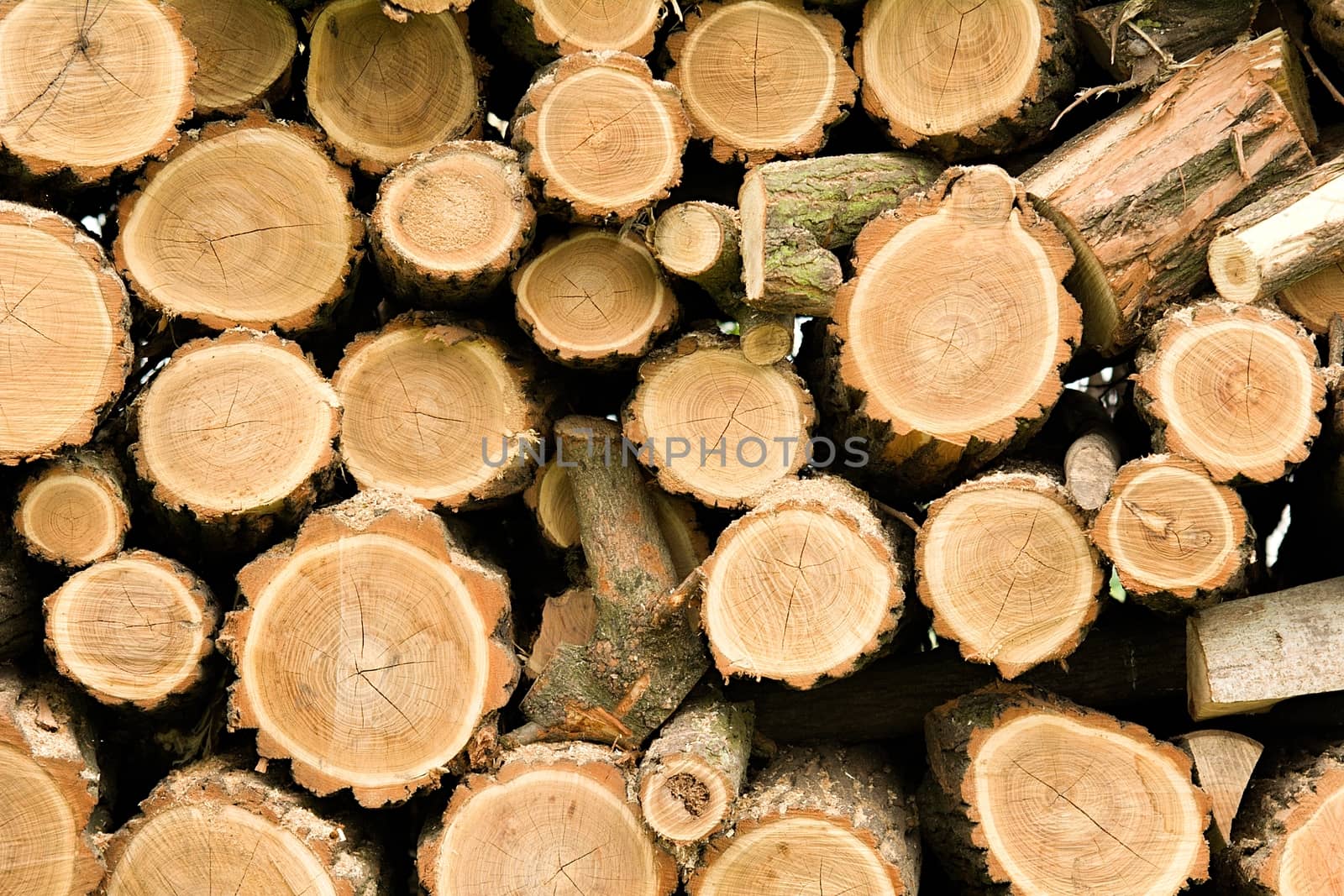 Pile of the wood logs stacked and cut on the small pieces background.