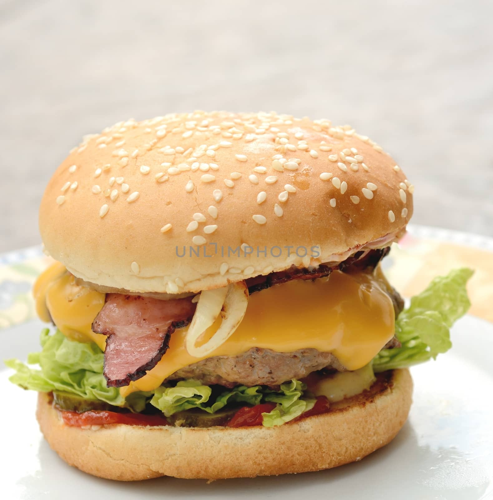 Home made hamburger with beef meat on the plate.