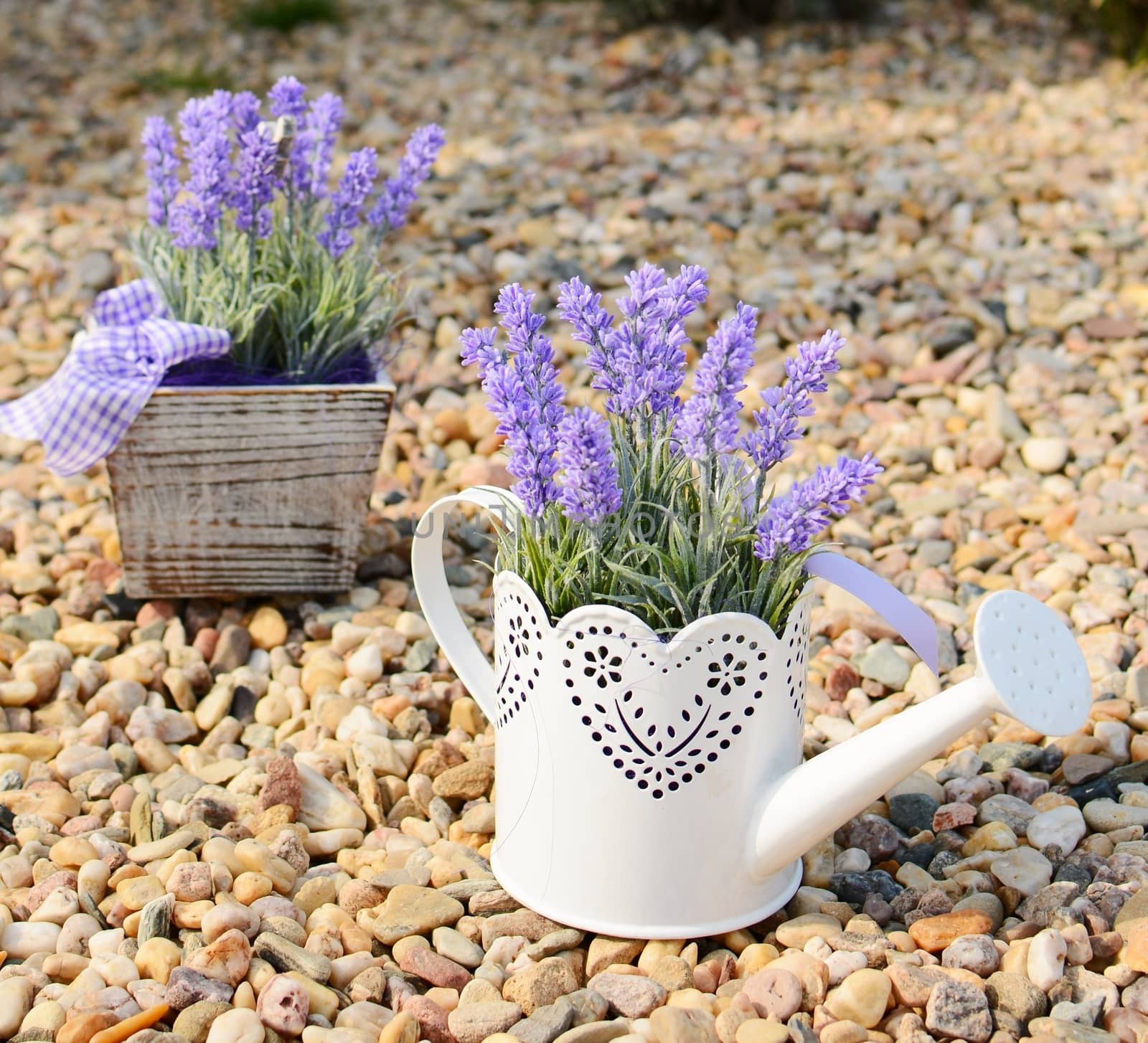 Lavender decoration in the old metal can and in the pot.