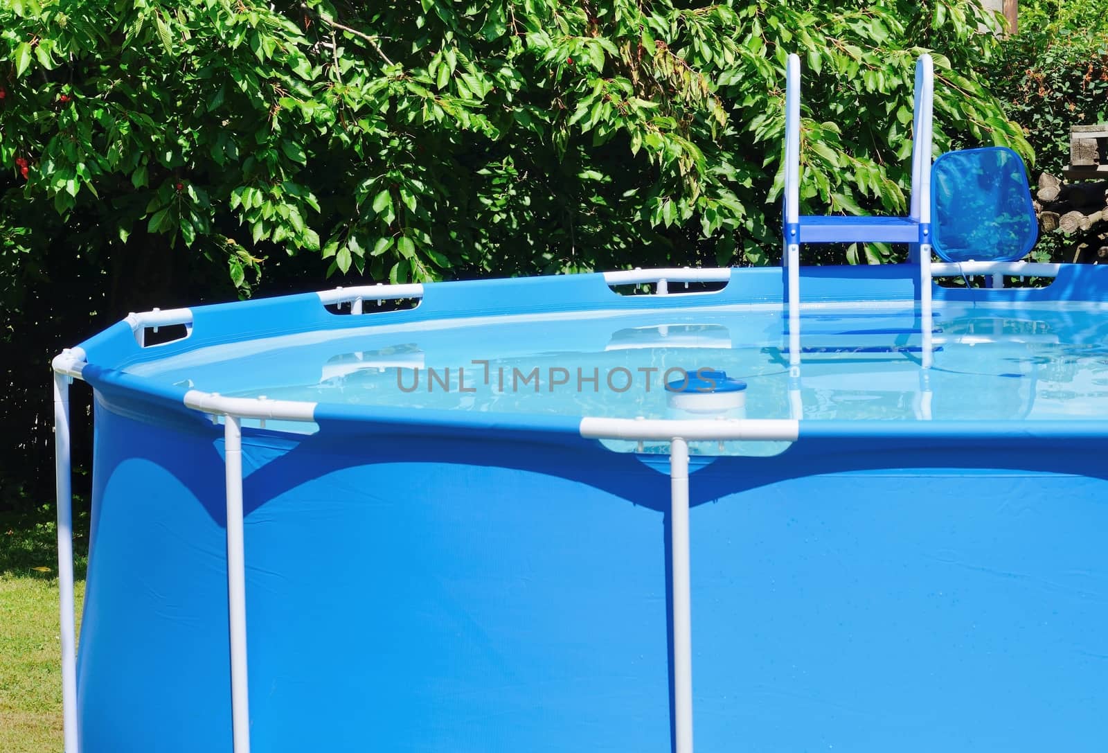 Circular water pool at garden with chlorine float and ladder.