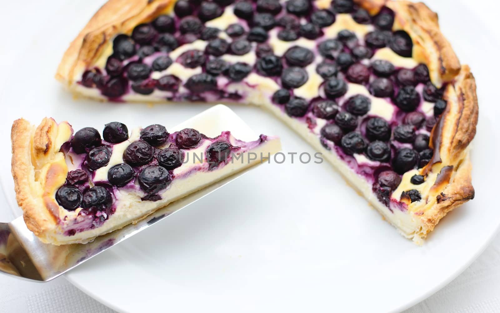 Piece of the blueberry cheese pie on a cake scoop.